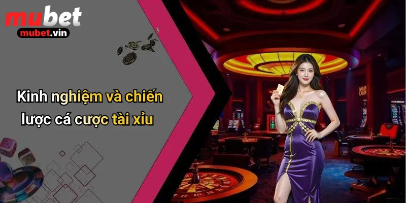 Kinh nghiệm và chiến lược cá cược tài xỉu