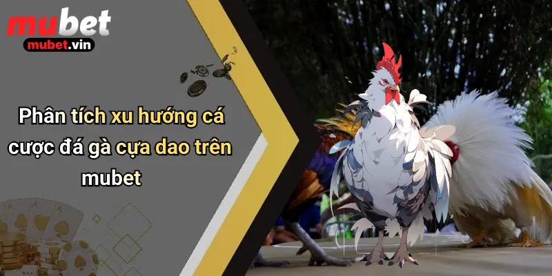 Phân tích xu hướng cá cược đá gà cựa dao trên mubet